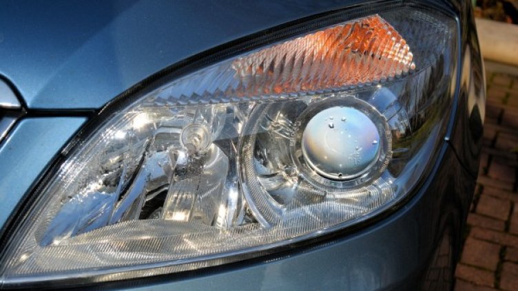 Снимка: pixabay