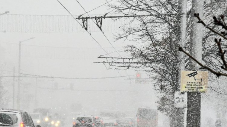 Снимка: Булфото, архив