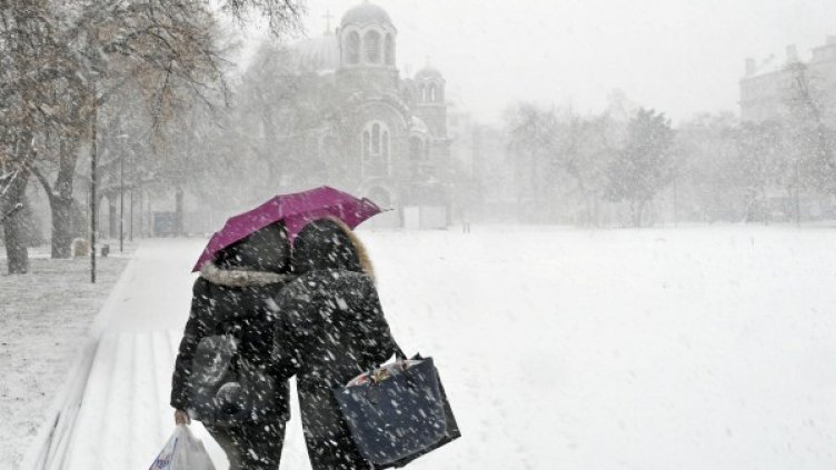 Снимка: Булфото