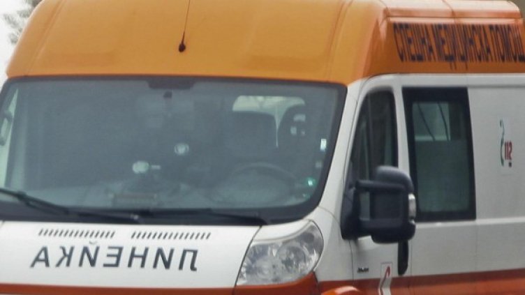 Снимка: Архив, Булфото