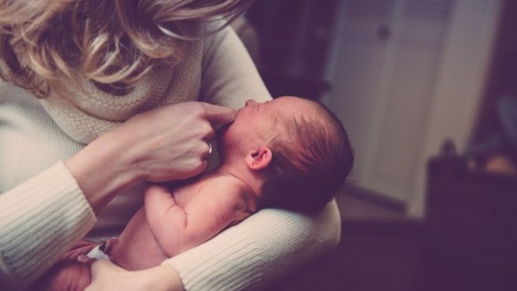 Снимка: pixabay