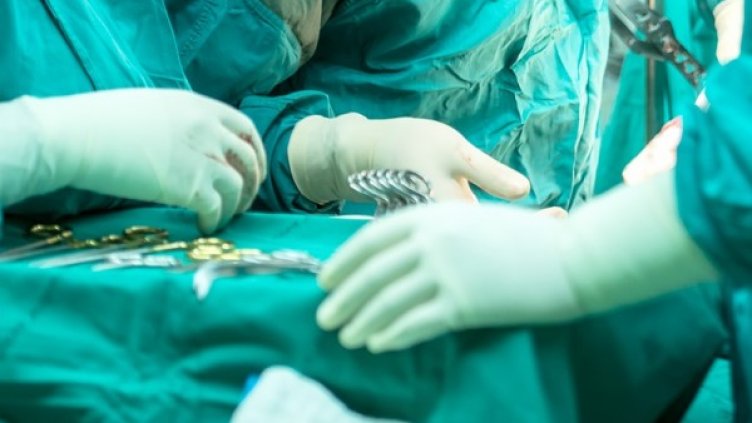 Снимка: Pixabay