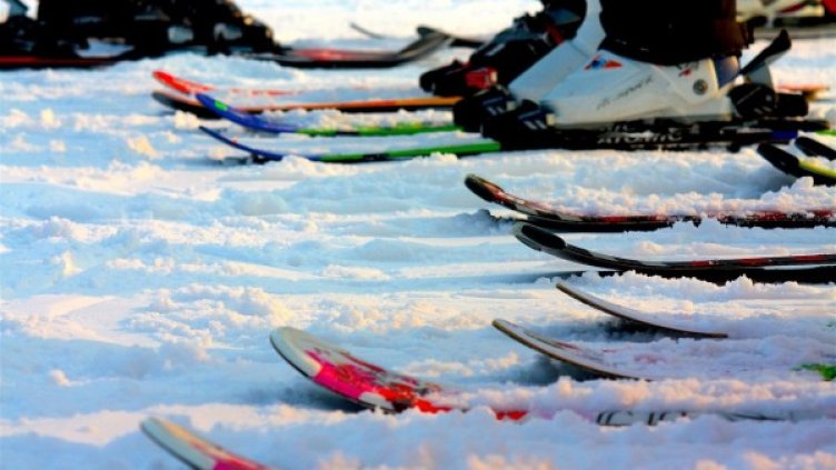 Снимка: pixabay