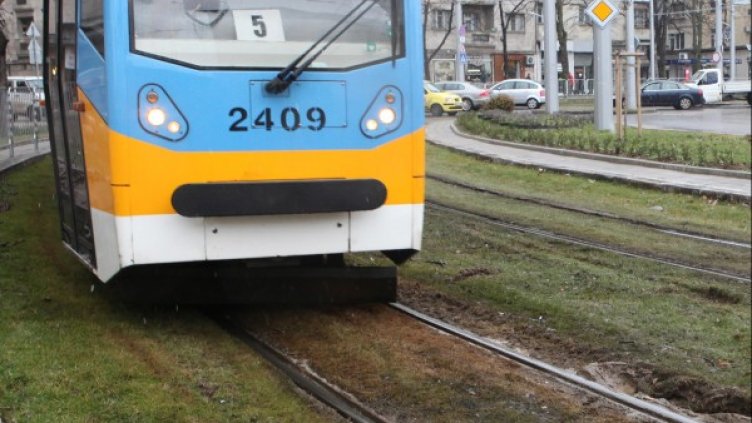 Снимка: Булфото