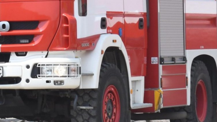 Архив: Булфото