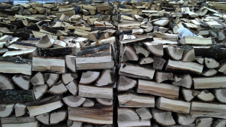 Снимка: архив "Булфото"