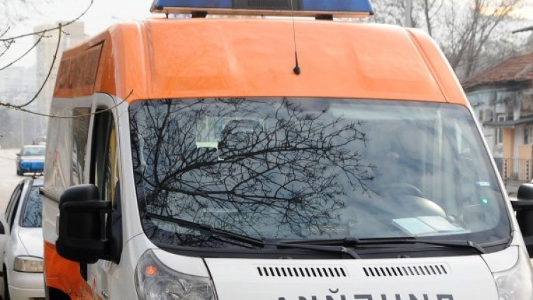 Снимка: Булфото