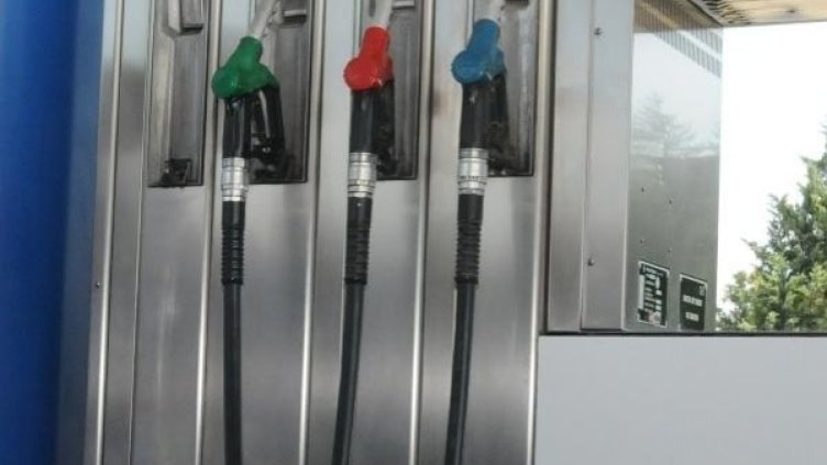 Снимка: Булфото, архив