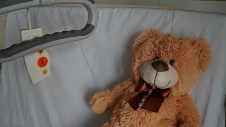 Снимка: pixabay