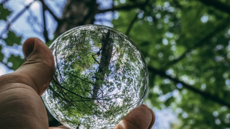 Снимка: Pexels