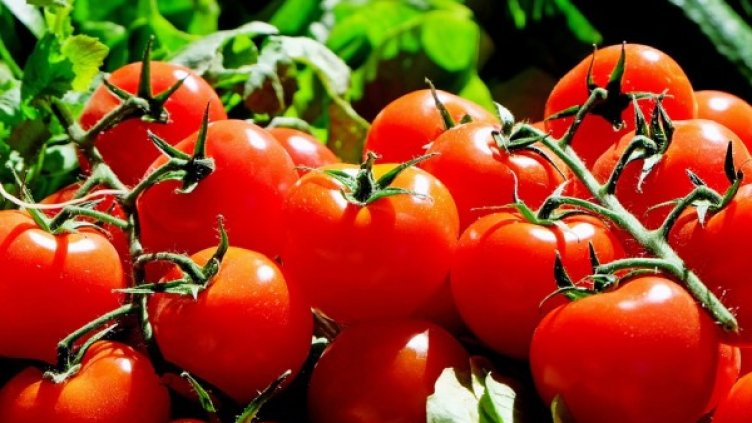 Снимка: Pixabay