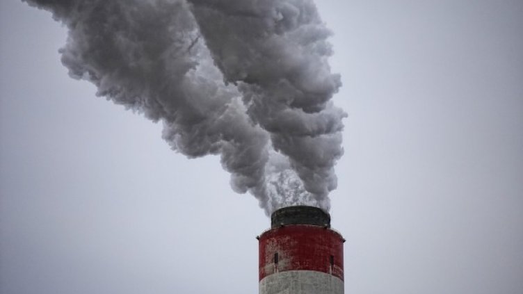 Снимка: pixabay