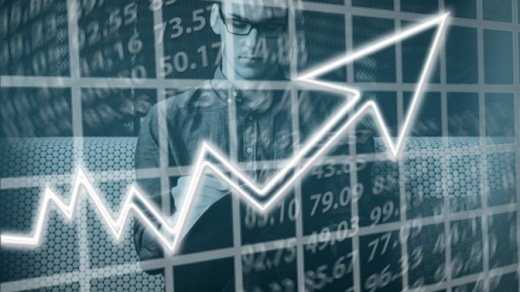 Снимка: pixabay