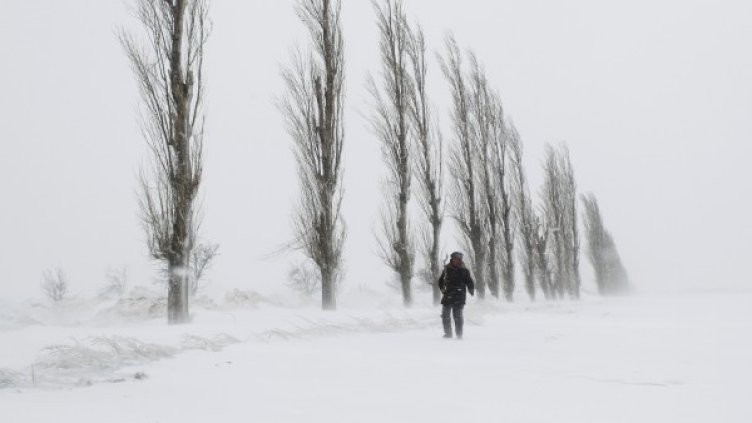 Снимка: Reuters