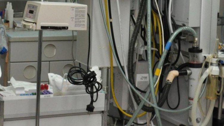 Снимка: архив, БулФото