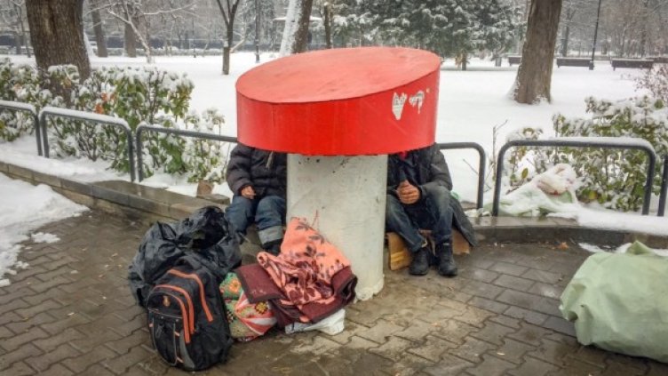 Снимка: Димитър Кьосемарлиев, Dnes.bg