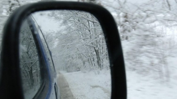 Архив: Булфото