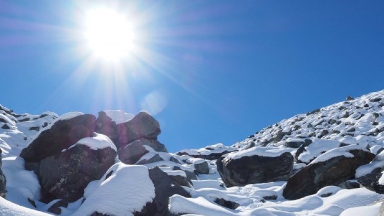 Снимка: pexels.com