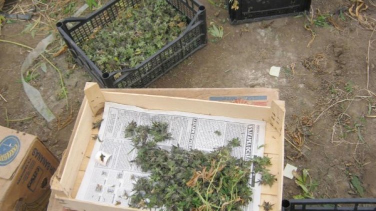 Снимка: архив "Булфото"