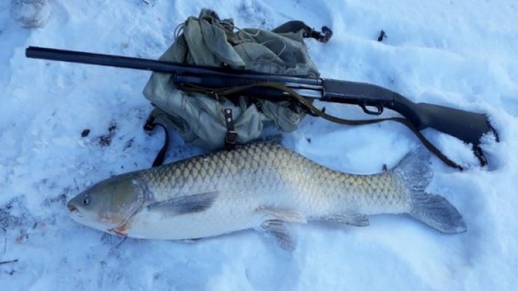 Снимка: "Труд"