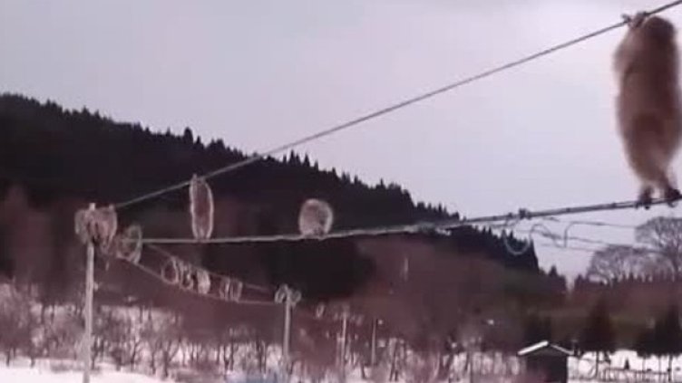 Снимка: Bulgaria ON AIR