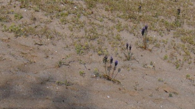 Снимка: архив, Булфото