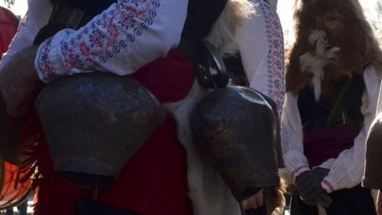 Снимка: архив, Булфото