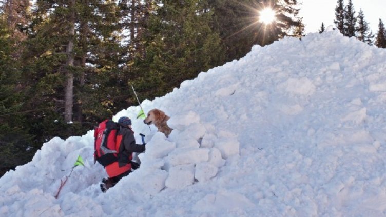 Снимка: архив, Булфото