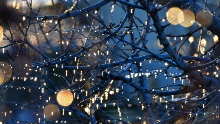 Времето днес: Вятърът ни носи студ, на места и снежец