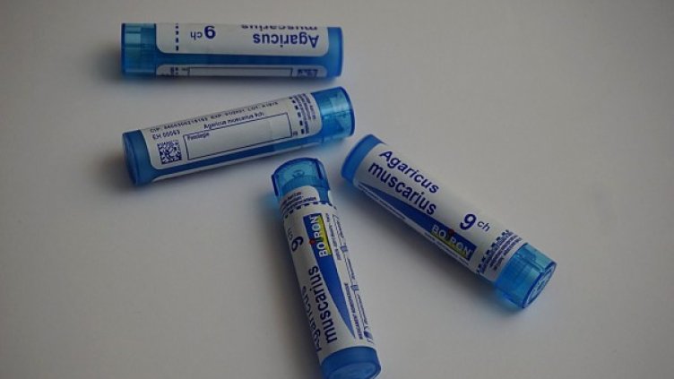 Снимка: Pixabay