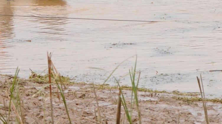 Снимка: Архив, Булфото