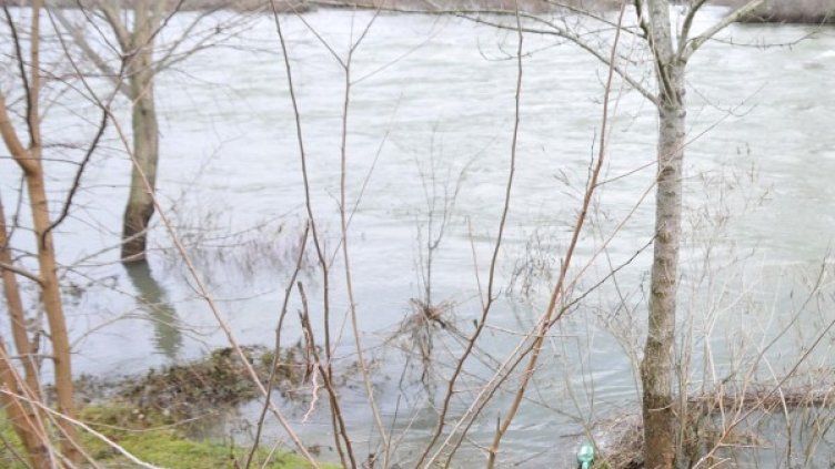 Снимка: архив "Булфото"