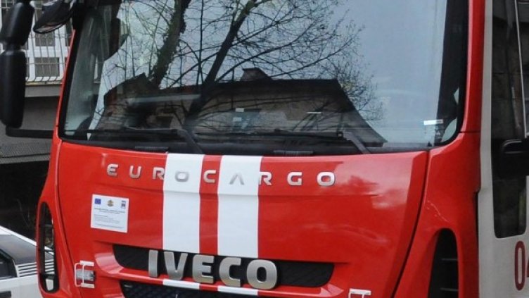 Снимка: архив, БулФото