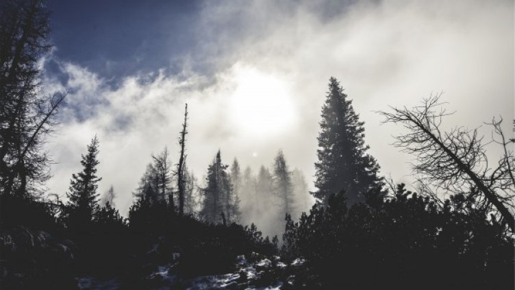 Снимка: pixabay.com