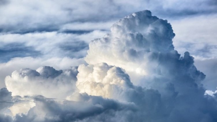 Снимка: pixabay