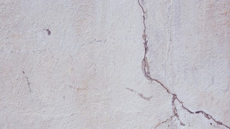 Снимка: pixabay