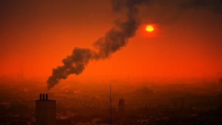 Снимка: pixabay