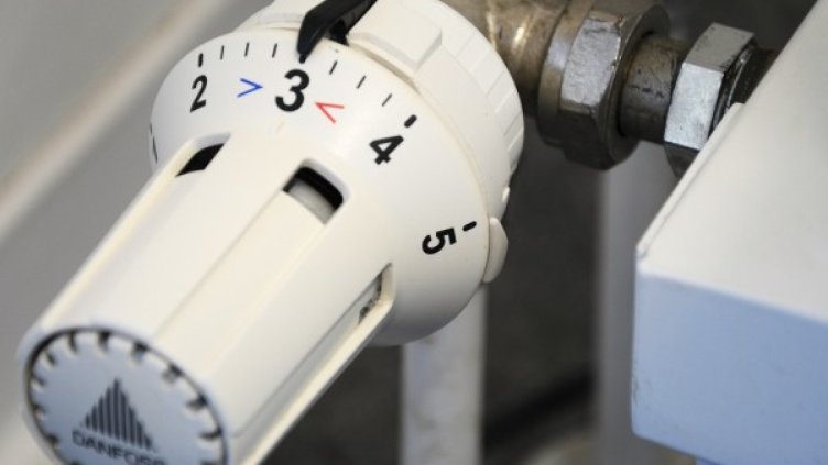 Снимка: pixabay