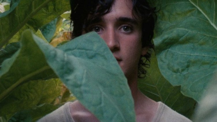 Снимка: София Филм Фест