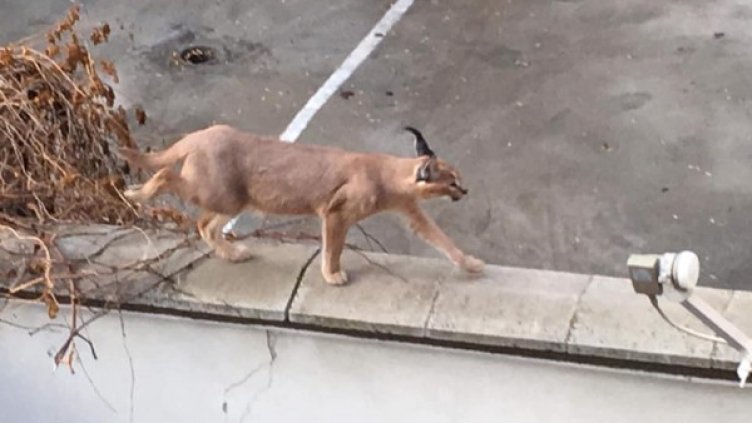 Снимка: Facebook