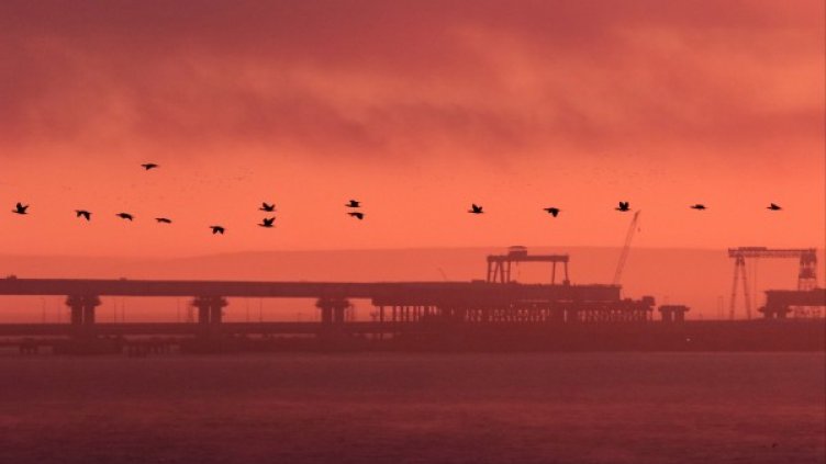 Снимка: Reuters