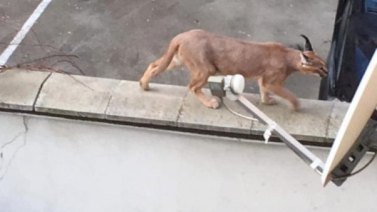 Снимка: Забелязано в Пловдив