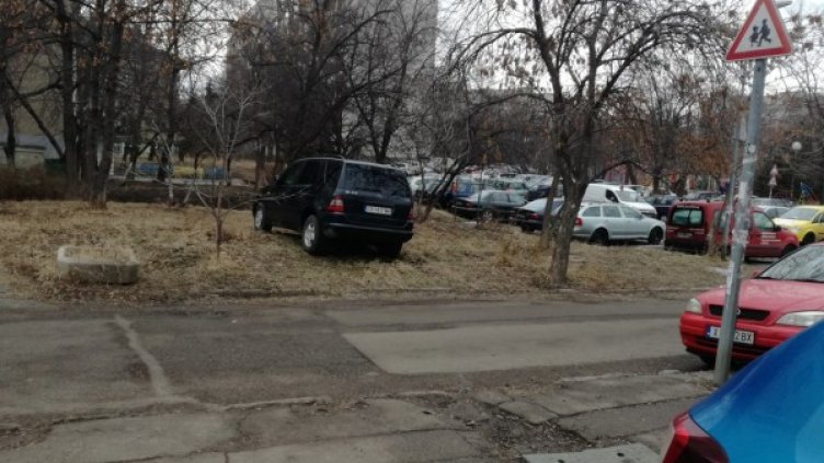 Снимка: Helpbook