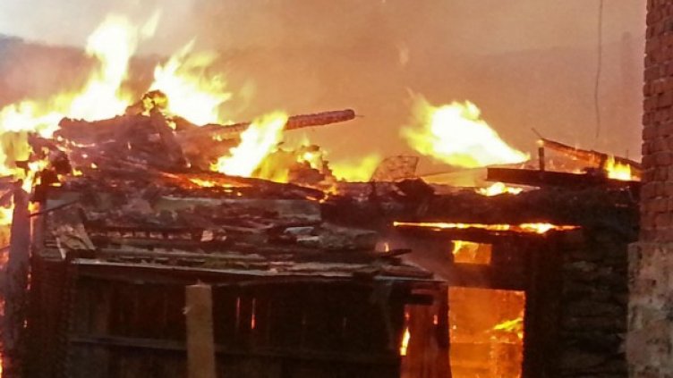 Архив: Булфото