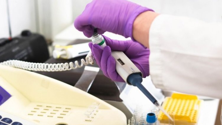 Снимка: pixabay