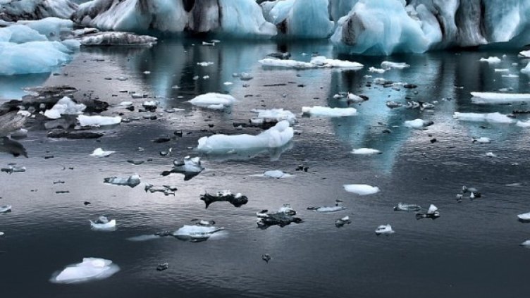 Снимка: pixabay