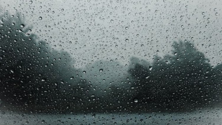 Снимка: Pixabay