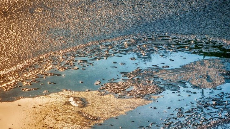 Снимка: Pixabay