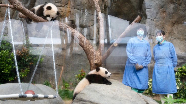 Снимка:БГНЕС/EPA