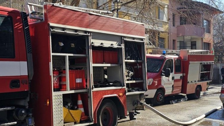 Снимка: архив, БГНЕС